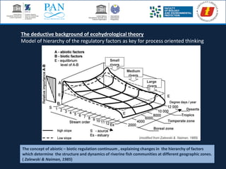 The concept of abiotic – biotic regulation continuum , explaining changes in the hierarchy of factors
which determine the structure and dynamics of riverine fish communities at different geographic zones.
( Zalewski & Naiman, 1985)
The deductive background of ecohydrological theory
Model of hierarchy of the regulatory factors as key for process oriented thinking
 