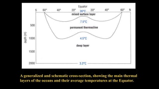 Distribution of Temperature and its Impact on Marine Organism | PPTX