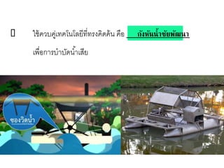  ใช้ควบคู่เทคโนโลยีที่ทรงคิดค้น คือ กังหันน้าชัยพัฒนา
เพื่อการบาบัดน้าเสีย
 