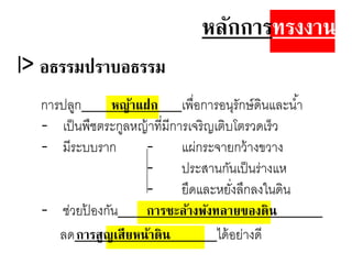 หลักการทรงงาน
l> อธรรมปราัอธรรม
การปลูก หญ้าแฝก เพื่อการอนุรักษ์ดินและน้า
- เป็นพืชตระกูลหญ้าที่มีการเจริญเติบโตรวดเร็ว
- มีระบบราก - แผ่กระจายกว้างขวาง
- ประสานกันเป็นร่างแห
- ยึดและหยั่งลึกลงในดิน
- ช่วยป้ องกัน การชะล้างพังทลายของดิน
ลดการสูญเสียหน้าดิน ได้อย่างดี
 