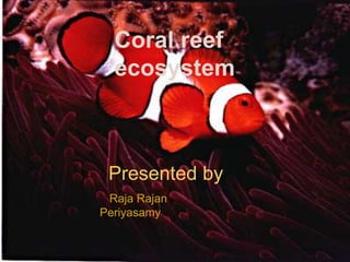 CORAL REEF ECOSYSTEM
Presented by
Raja rajan
Coral reef
ecosystem
Presented by
Raja Rajan
Periyasamy
 