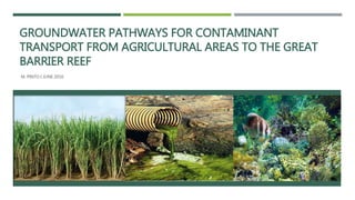 GROUNDWATER PATHWAYS FOR CONTAMINANT
TRANSPORT FROM AGRICULTURAL AREAS TO THE GREAT
BARRIER REEF
M. PINTO I JUNE 2016
 