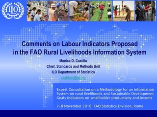 Expert Consultation on a Methodology for an information
System on rural livelihoods and Sustainable Development
Goals indicators on smallholder productivity and income
7-8 November 2016, FAO Statistics Division, Rome
Comments on Labour Indicators Proposed
in the FAO Rural Livelihoods Information System
Monica D. Castillo
Chief, Standards and Methods Unit
ILO Department of Statistics
castillom@ilo.org
 