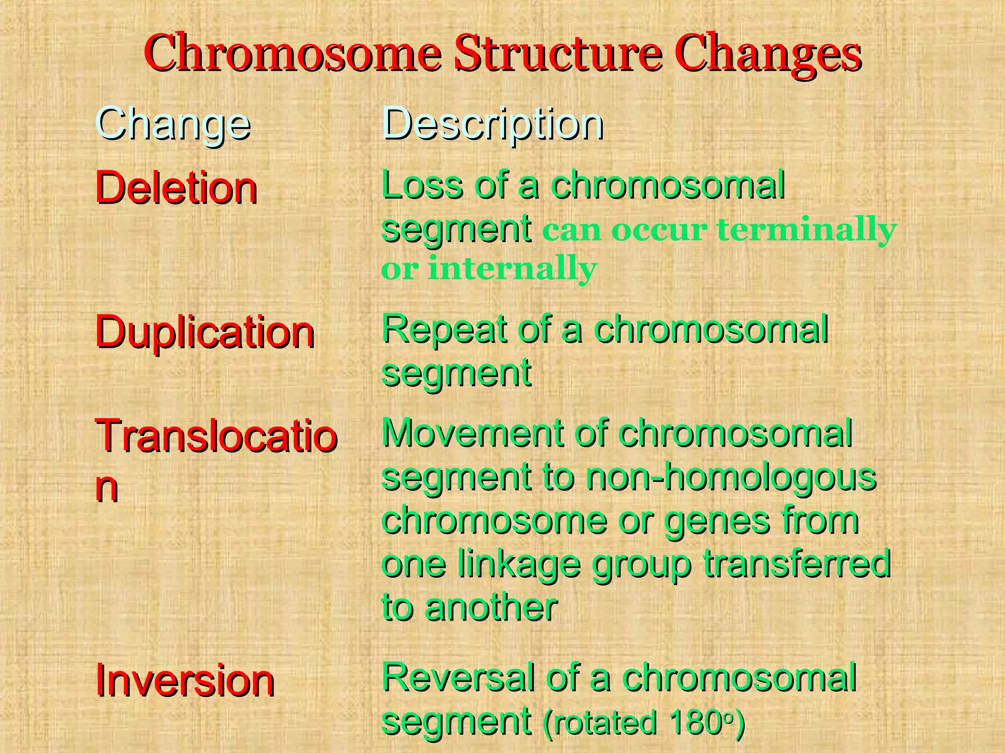 Chromosome Structure ChangesChromosome Structure Changes
ChangeChange DescriptionDescription
DeletionDeletion Loss of a chromosomalLoss of a chromosomal
segmentsegment can occur terminally
or internally
DuplicationDuplication Repeat of a chromosomalRepeat of a chromosomal
segmentsegment
TranslocatioTranslocatio
nn
Movement of chromosomalMovement of chromosomal
segment to non-homologoussegment to non-homologous
chromosome or genes fromchromosome or genes from
one linkage group transferredone linkage group transferred
to anotherto another
InversionInversion Reversal of a chromosomalReversal of a chromosomal
segmentsegment (rotated 180(rotated 180oo
))
 