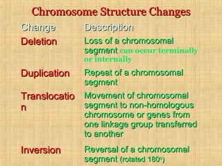 Chromosome Structure ChangesChromosome Structure Changes
ChangeChange DescriptionDescription
DeletionDeletion Loss of a chromosomalLoss of a chromosomal
segmentsegment can occur terminally
or internally
DuplicationDuplication Repeat of a chromosomalRepeat of a chromosomal
segmentsegment
TranslocatioTranslocatio
nn
Movement of chromosomalMovement of chromosomal
segment to non-homologoussegment to non-homologous
chromosome or genes fromchromosome or genes from
one linkage group transferredone linkage group transferred
to anotherto another
InversionInversion Reversal of a chromosomalReversal of a chromosomal
segmentsegment (rotated 180(rotated 180oo
))
 