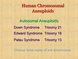 Human ChromosomalHuman Chromosomal
AneuploidsAneuploids
Down SyndromeDown Syndrome Trisomy 21Trisomy 21
Edward SyndromeEdward Syndrome Trisomy 18Trisomy 18
Patau SyndromePatau Syndrome Trisomy 13Trisomy 13
Autosomal AneuploidsAutosomal Aneuploids
Trisomy: three copies of one chromosomeTrisomy: three copies of one chromosome
 