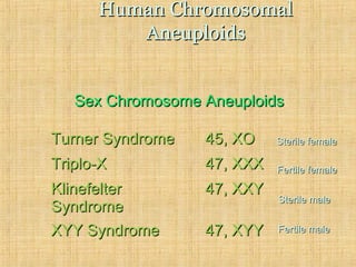 Human ChromosomalHuman Chromosomal
AneuploidsAneuploids
Sex Chromosome AneuploidsSex Chromosome Aneuploids
Turner SyndromeTurner Syndrome 45, XO45, XO
Triplo-XTriplo-X 47, XXX47, XXX
KlinefelterKlinefelter
SyndromeSyndrome
47, XXY47, XXY
XYY SyndromeXYY Syndrome 47, XYY47, XYY
Sterile femaleSterile female
Fertile femaleFertile female
Sterile maleSterile male
Fertile maleFertile male
 