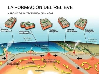 LA FORMACIÓN DEL RELIEVE
• TEORÍA DE LA TECTÓNICA DE PLACAS
 