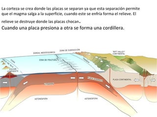 La corteza se crea donde las placas se separan ya que esta separación permite
que el magma salga a la superficie, cuando este se enfría forma el relieve. El
relieve se destruye donde las placas chocan.
Cuando una placa presiona a otra se forma una cordillera.
Las placas tectónicas.(Video)
 