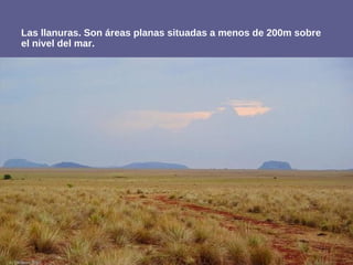 Las llanuras. Son áreas planas situadas a menos de 200m sobre
el nivel del mar.
 