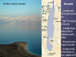 El Mar muerto.(Israel)
 