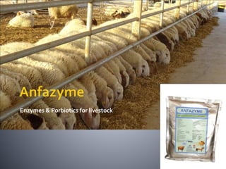 Enzymes & Porbiotics for livestock
 