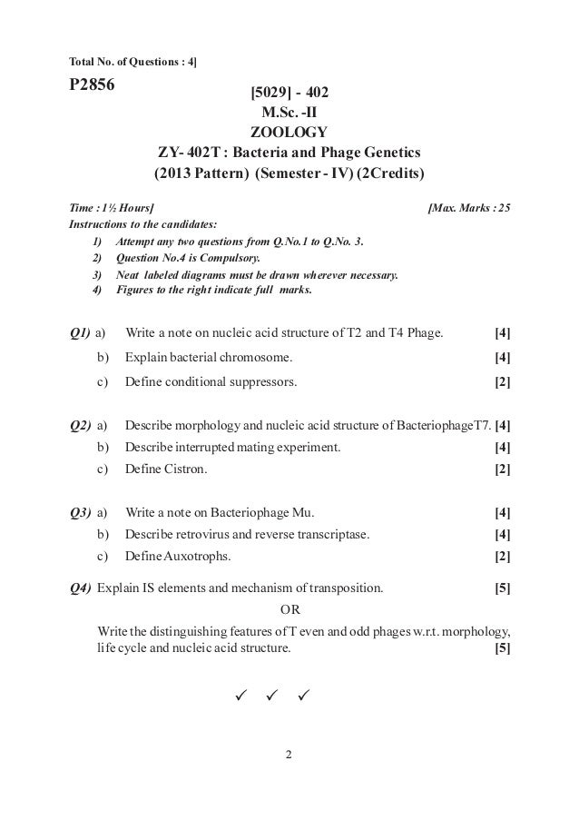essay about peace your family life