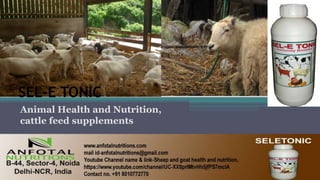 SEL-E TONIC
Animal Health and Nutrition,
cattle feed supplements
 