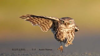 他这样走路的。。。作者  Austin Thomas 