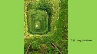 作者  Oleg Gordienko  