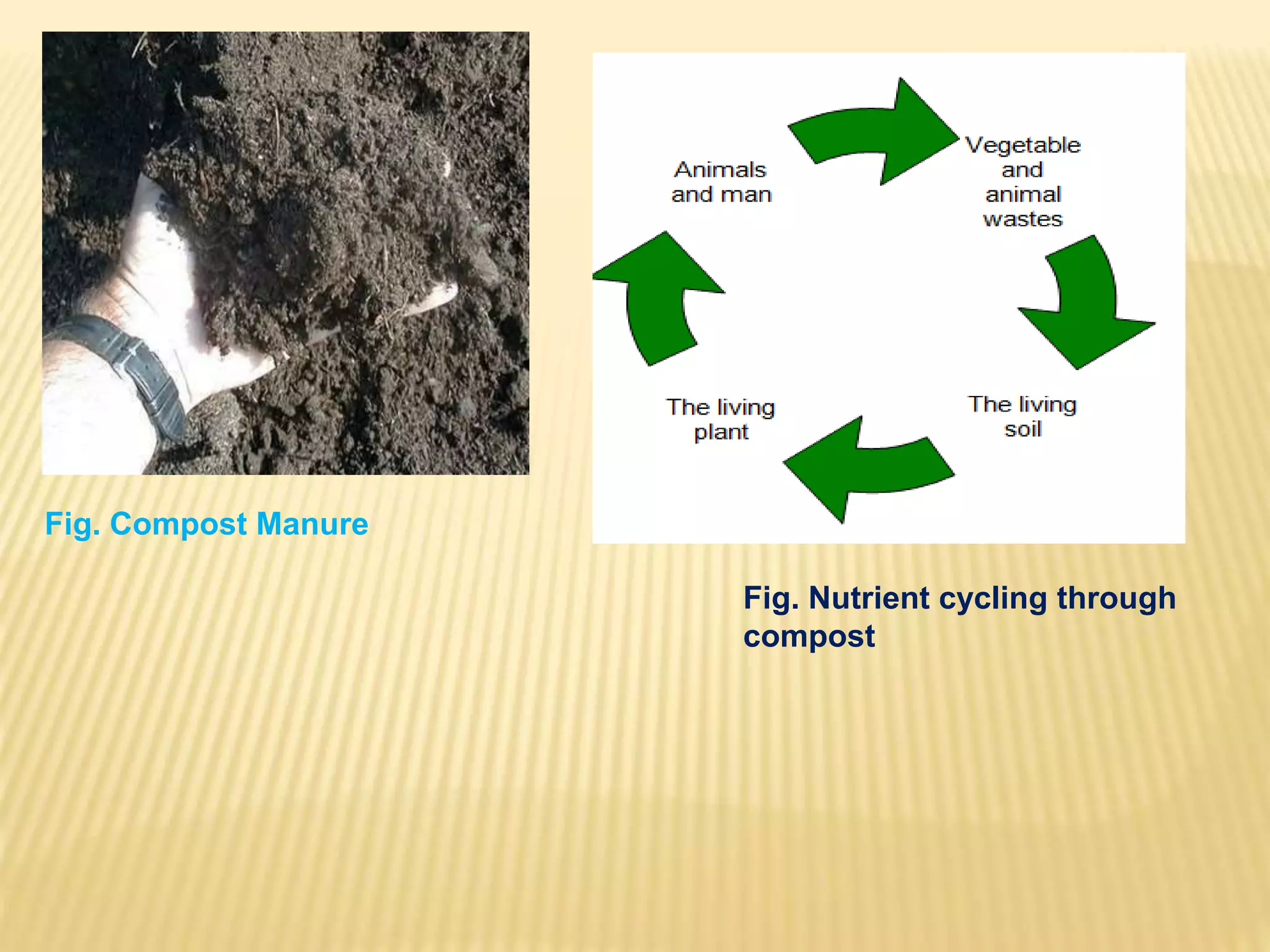Fig. Compost Manure
Fig. Nutrient cycling through
compost
 