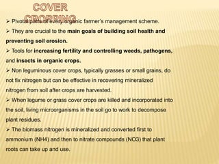  Pivotal parts of every organic farmer’s management scheme.
 They are crucial to the main goals of building soil health and
preventing soil erosion.
 Tools for increasing fertility and controlling weeds, pathogens,
and insects in organic crops.
 Non leguminous cover crops, typically grasses or small grains, do
not fix nitrogen but can be effective in recovering mineralized
nitrogen from soil after crops are harvested.
 When legume or grass cover crops are killed and incorporated into
the soil, living microorganisms in the soil go to work to decompose
plant residues.
 The biomass nitrogen is mineralized and converted first to
ammonium (NH4) and then to nitrate compounds (NO3) that plant
roots can take up and use.
 