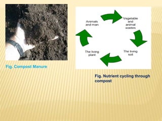 Fig. Compost Manure
Fig. Nutrient cycling through
compost
 