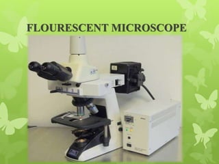 FISH ( fluorescent in situ hybridization) | PPTX