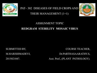 PAT– 302 DISEASES OF FIELD CROPS AND
THEIR MANAGEMENT (1+1)
ASSIGNMENT TOPIC
REDGRAM STERILITY MOSAIC VIRUS
SUBMITTED BY, COURSE TEACHER,
M.HARISHMADEVI, Dr.PARTHASAARATHY.S,
2015021047. Asst. Prof., (PLANT PATHOLOGY).
 