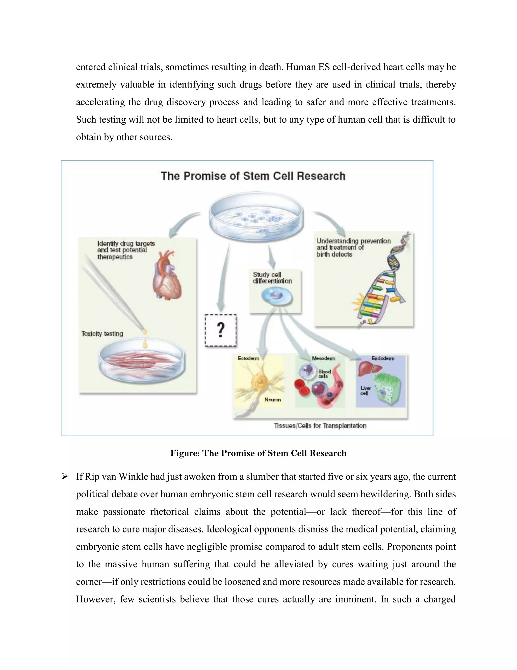 entered clinical trials, sometimes resulting in death. Human ES cell-derived heart cells may be
extremely valuable in identifying such drugs before they are used in clinical trials, thereby
accelerating the drug discovery process and leading to safer and more effective treatments.
Such testing will not be limited to heart cells, but to any type of human cell that is difficult to
obtain by other sources.
Figure: The Promise of Stem Cell Research
 If Rip van Winkle had just awoken from a slumber that started five or six years ago, the current
political debate over human embryonic stem cell research would seem bewildering. Both sides
make passionate rhetorical claims about the potential—or lack thereof—for this line of
research to cure major diseases. Ideological opponents dismiss the medical potential, claiming
embryonic stem cells have negligible promise compared to adult stem cells. Proponents point
to the massive human suffering that could be alleviated by cures waiting just around the
corner—if only restrictions could be loosened and more resources made available for research.
However, few scientists believe that those cures actually are imminent. In such a charged
 