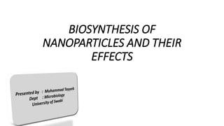 BIOSYNTHESIS OF
NANOPARTICLES AND THEIR
EFFECTS
 