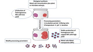 nano-particles synthesis presented by M, Tayyeb | PPTX