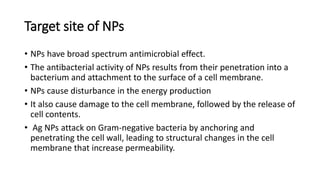 Smashed Nps Target nano-particles synthesis presented by M, Tayyeb | PPTX