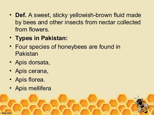 Honey business plan pdf picture