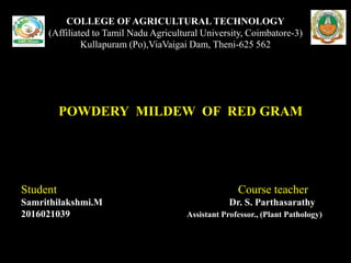 COLLEGE OFAGRICULTURAL TECHNOLOGY
(Affiliated to Tamil Nadu Agricultural University, Coimbatore-3)
Kullapuram (Po),ViaVaigai Dam, Theni-625 562
POWDERY MILDEW OF RED GRAM
Student Course teacher
Samrithilakshmi.M Dr. S. Parthasarathy
2016021039 Assistant Professor., (Plant Pathology)
 