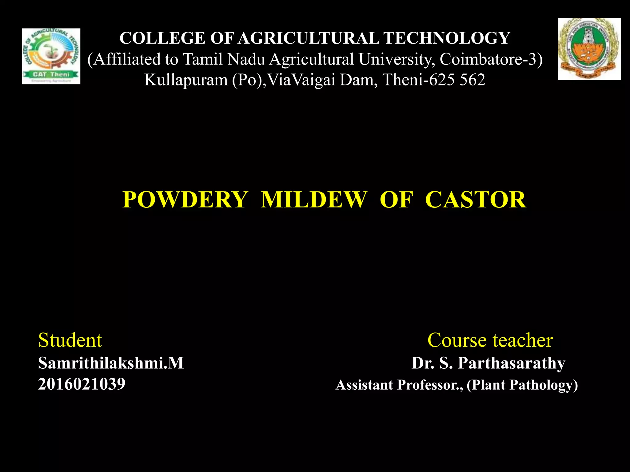 POWDERY MILDEW OF CASTOR | PPTX