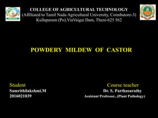 COLLEGE OFAGRICULTURAL TECHNOLOGY
(Affiliated to Tamil Nadu Agricultural University, Coimbatore-3)
Kullapuram (Po),ViaVaigai Dam, Theni-625 562
POWDERY MILDEW OF CASTOR
Student Course teacher
Samrithilakshmi.M Dr. S. Parthasarathy
2016021039 Assistant Professor., (Plant Pathology)
 
