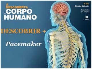 DESCOBRIR +
Pacemaker
 