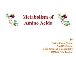 Metabolism of
Amino Acids
By
N.Santhosh Kumar
Asst.Professor
Department of Biochemistry
SIMS & RH, Tumkur
 