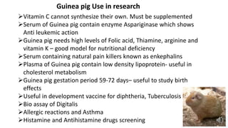 common laboratory animals part 1 | PPTX