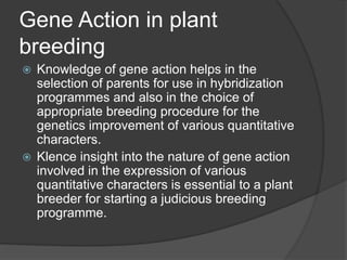 Gene Action in plant
breeding
 Knowledge of gene action helps in the
selection of parents for use in hybridization
programmes and also in the choice of
appropriate breeding procedure for the
genetics improvement of various quantitative
characters.
 Klence insight into the nature of gene action
involved in the expression of various
quantitative characters is essential to a plant
breeder for starting a judicious breeding
programme.
 