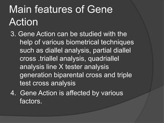 Main features of Gene
Action
3. Gene Action can be studied with the
help of various biometrical techniques
such as diallel analysis, partial diallel
cross .triallel analysis, quadriallel
analysis line X tester analysis
generation biparental cross and triple
test cross analysis
4. Gene Action is affected by various
factors.
 