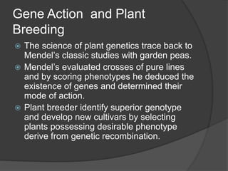 Gene Action and Plant
Breeding
 The science of plant genetics trace back to
Mendel’s classic studies with garden peas.
 Mendel’s evaluated crosses of pure lines
and by scoring phenotypes he deduced the
existence of genes and determined their
mode of action.
 Plant breeder identify superior genotype
and develop new cultivars by selecting
plants possessing desirable phenotype
derive from genetic recombination.
 