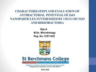CHARACTERIZATIONAND EVALUATION OF
ANTIBACTERIAL POTENTIALOFZnO
NANOPARTICLES SYNTHESIZED BYVIGNAMUNGO
AND RHIZOBACTERIA
Sijo.A
M.Sc. Microbiology
Reg. No: 21811422
2018-2020
 