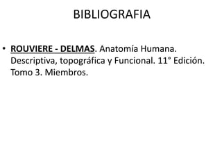 BIBLIOGRAFIA
• ROUVIERE - DELMAS. Anatomía Humana.
Descriptiva, topográfica y Funcional. 11° Edición.
Tomo 3. Miembros.
 