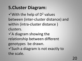 With the help of D2 values
between (inter-cluster distance) and
within (intra-cluster distance )
clusters.
A diagram showing the
relationship between different
genotypes be drawn.
Such a diagram is not exactly to
the scale.
5.Cluster Diagram:
20
 