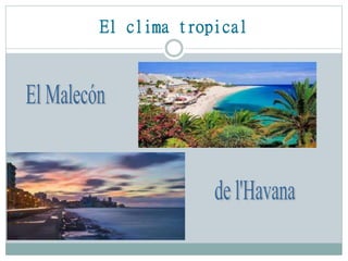 El clima tropical
 