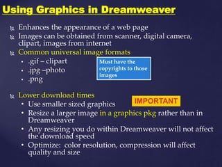 M.florence dayana   dream weaver