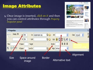 M.florence dayana   dream weaver