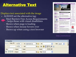 M.florence dayana   dream weaver
