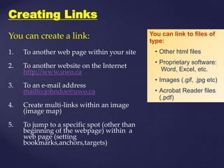 M.florence dayana   dream weaver