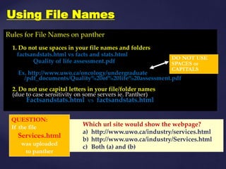 M.florence dayana   dream weaver