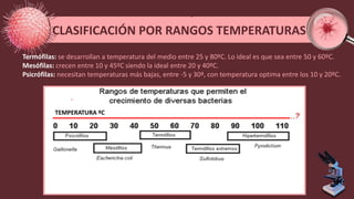 CLASIFICACIÓN POR RANGOS TEMPERATURAS
TEMPERATURA ºC
Termófilas: se desarrollan a temperatura del medio entre 25 y 80ºC. Lo ideal es que sea entre 50 y 60ºC.
Mesófilas: crecen entre 10 y 45ºC siendo la ideal entre 20 y 40ºC.
Psicrófilas: necesitan temperaturas más bajas, entre -5 y 30ª, con temperatura optima entre los 10 y 20ºC.
 