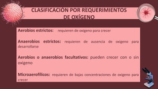 CLASIFICACIÓN POR REQUERIMIENTOS
DE OXÍGENO
Aerobios estrictos: requieren de oxigeno para crecer
Anaerobios estrictos: requieren de ausencia de oxigeno para
desarrollarse
Aerobios o anaerobios facultativos: pueden crecer con o sin
oxigeno
Microaerofílicos: requieren de bajas concentraciones de oxigeno para
crecer
 
